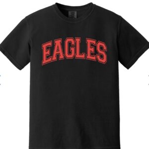 **NEW** Black "Eagles" Comfort Colors Boxy Tee