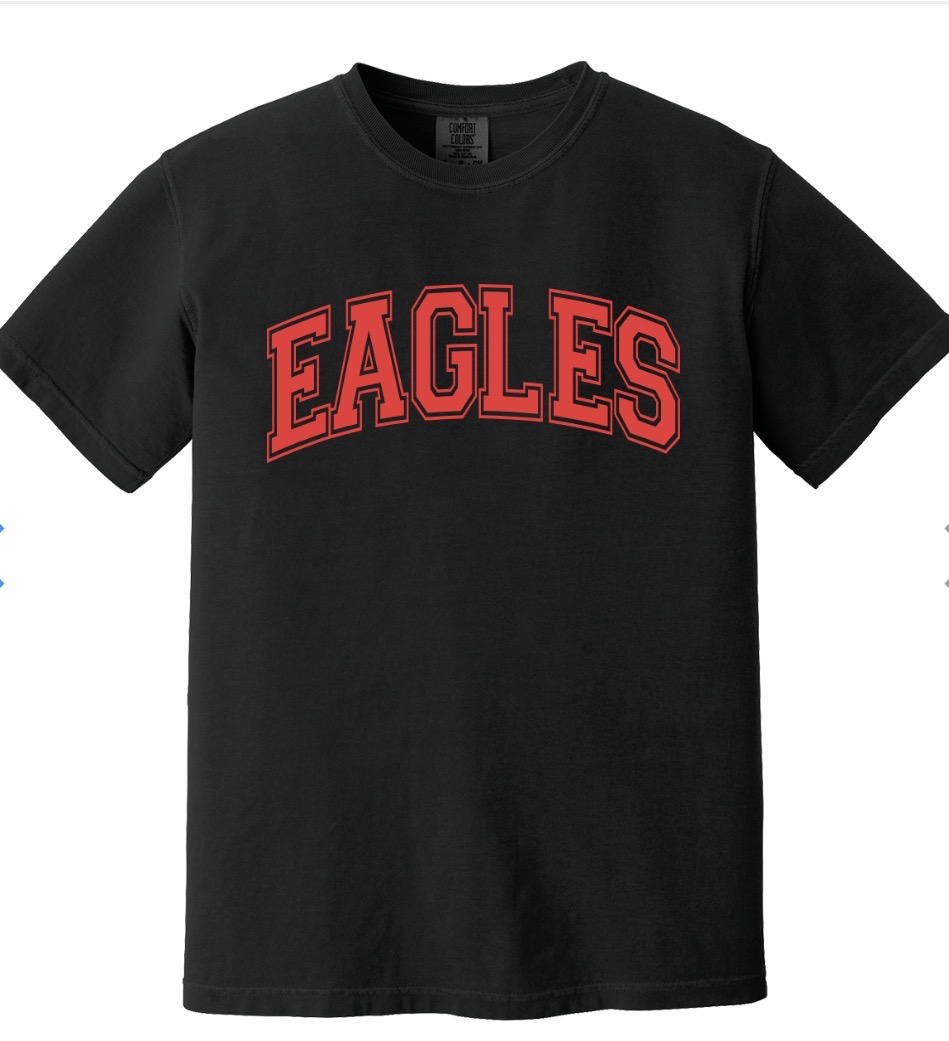 **NEW** Black "Eagles" Comfort Colors Boxy Tee